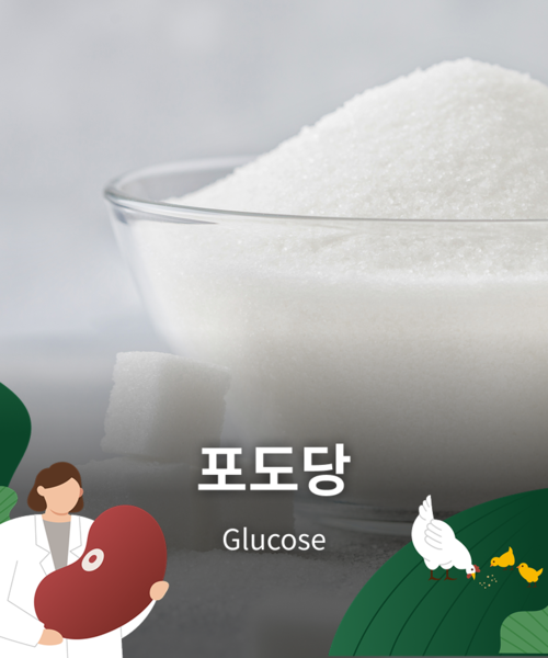 포도당(Glucose)