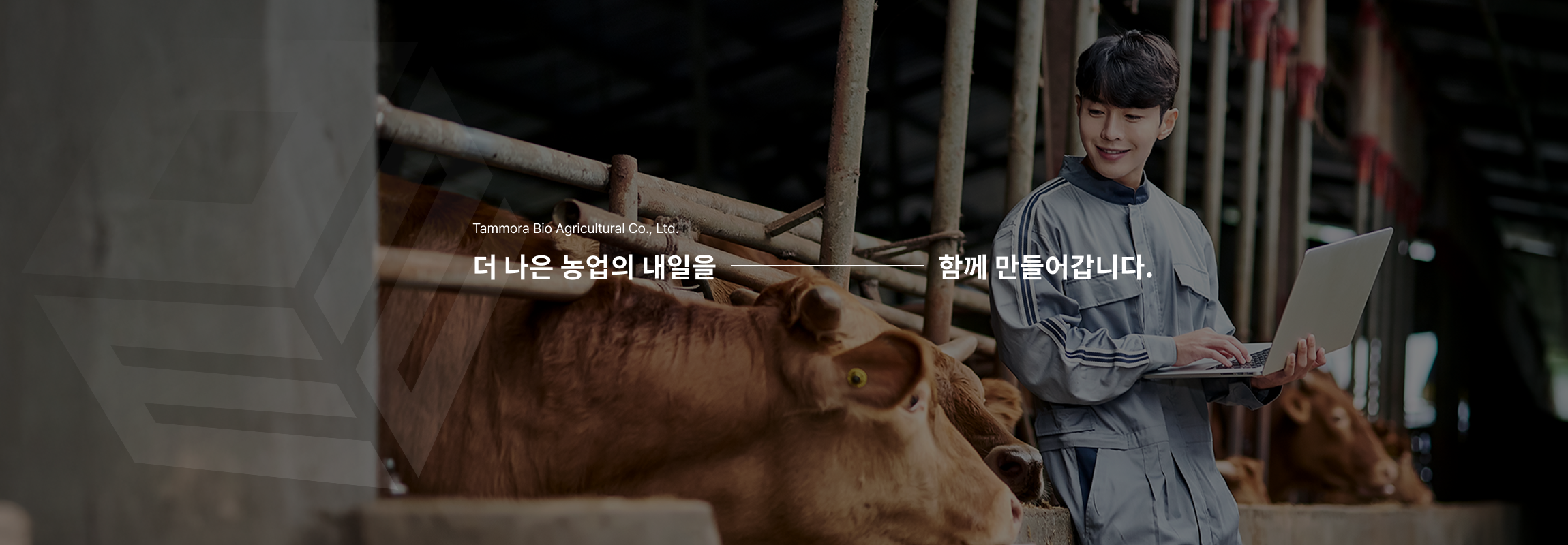 메인배너02