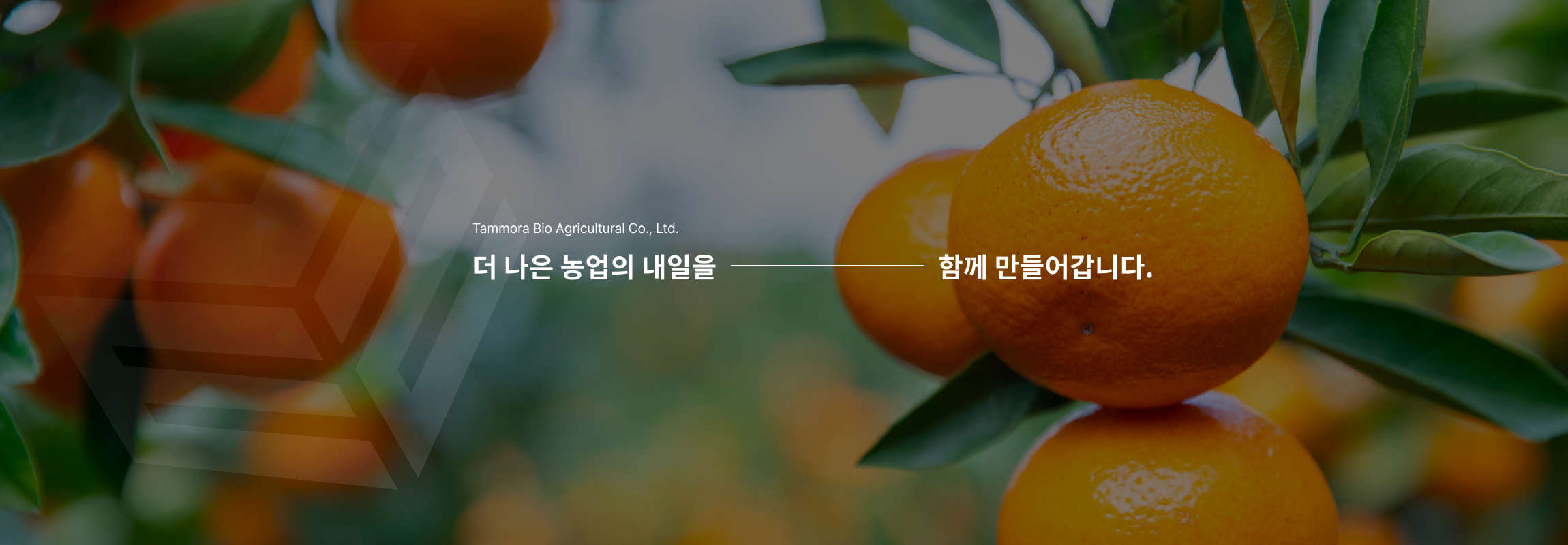 메인배너03